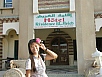PA230488.jpg