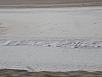 PA240521.jpg