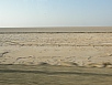 PA240523.jpg