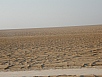 PA240524.jpg