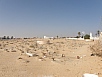 PA240527.jpg