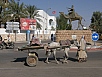 PA240539.jpg