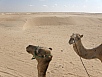 PA240581.jpg