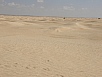 PA240601.jpg