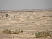 PA240627.jpg