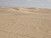 PA240630.jpg