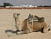 PA240631.jpg