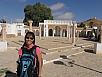 PA250804.jpg