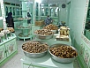 PA250816.jpg