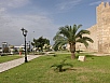 PA260933.jpg