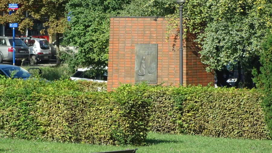DSC02770.jpg