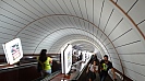DSC02536.jpg