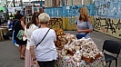 DSC02608.jpg