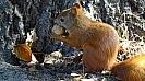 DSC02737.jpg