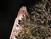 Rockefeller Ctr. - The Rock