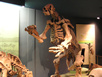 Dinosaurier