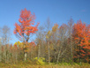 Indian Summer
