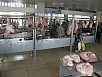 P9200165.jpg