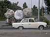 P9200193.jpg