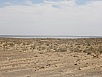 P9220476.jpg