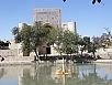 P9230542.jpg