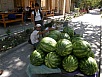 P9230618.jpg