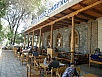 P9230619.jpg