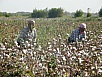 P9240735.jpg