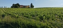 IMG_20240519_084123.jpg