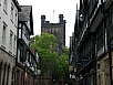 P5180063.jpg