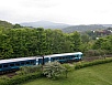 P5180139.jpg