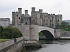 P5180181.jpg