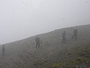 P5190374.jpg