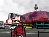 P5190551.jpg