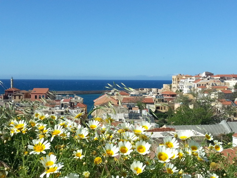 20150430_165716.jpg
