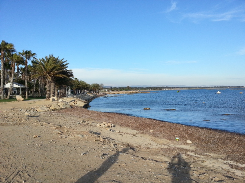 20150503_180134.jpg