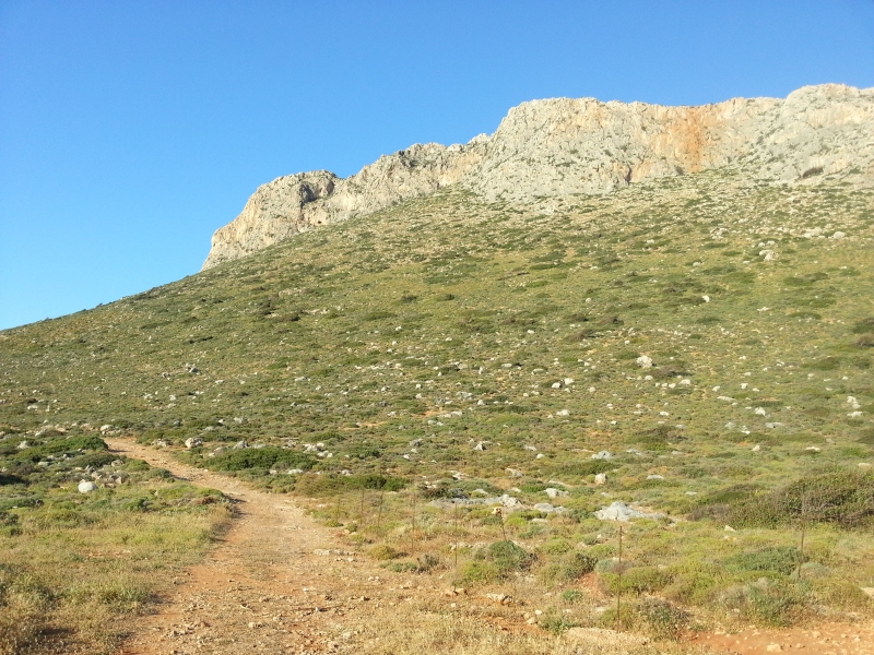 20150504_184824.jpg