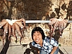 20150430_172810.jpg