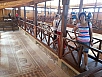 20150501_111604.jpg
