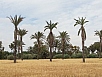 20150503_114908.jpg
