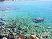 20150504_115204.jpg